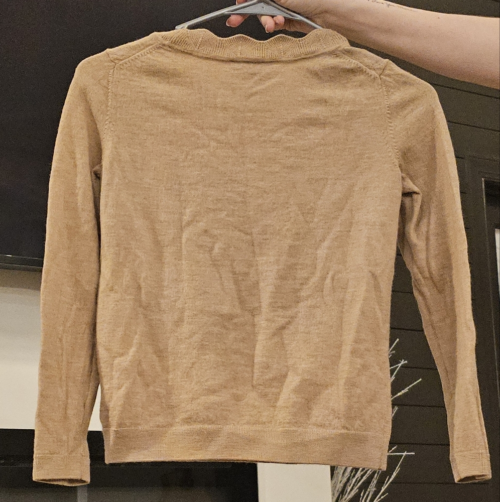 Elegant Tan Shirt